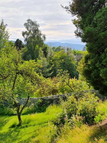 Cosy peaceful one-bedroom cottage in Pitlochry