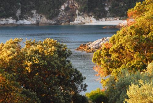 Faros - image 2