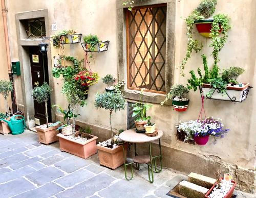  Casa Dreosti in Cortona