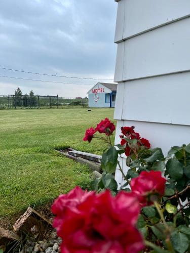 Best Motel - image 9