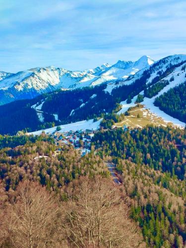 Appartement Chalet à 1400m - Station du Mourtis (Appartement Chalet a 1400m - Station du Mourtis) in 聖貝阿