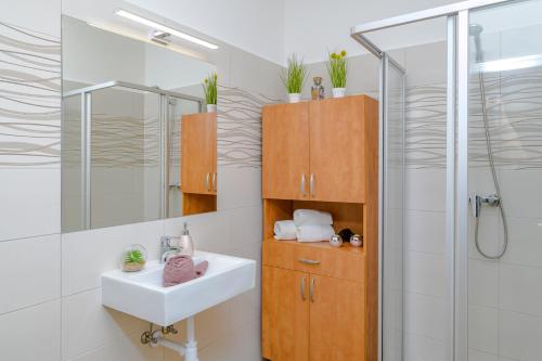 Apartment with Balcony image 10