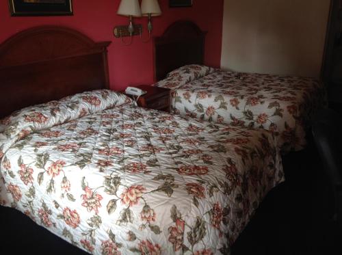 Executive Inn & Suites - image 3
