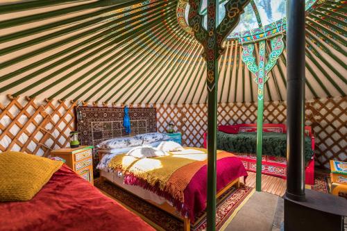 Pembrokeshire Yurts - Badger in Tegryn