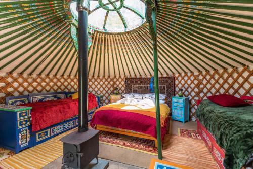 Pembrokeshire Yurts - Badger in Tegryn