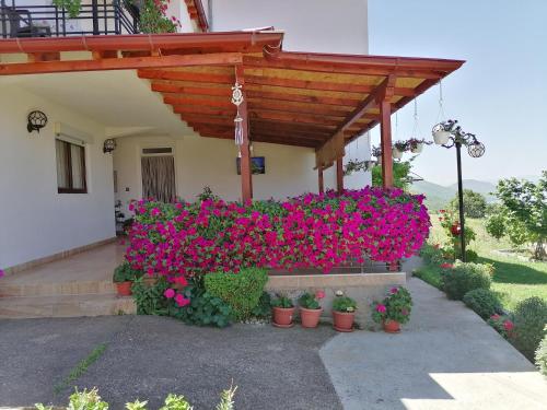 Shoposki Guest House in Elshani