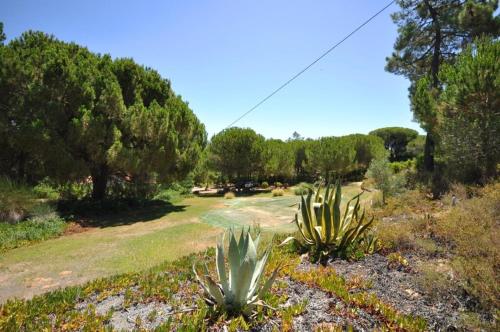 Fantastic vacation getaway Private Tennis Court Golf Practice Facility - image 13