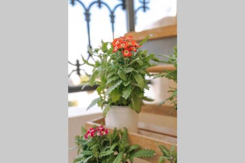 Petunia II, cozy apt garden view, 5' beach away
