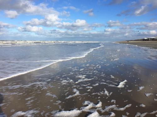 B&B Nobel in Ameland