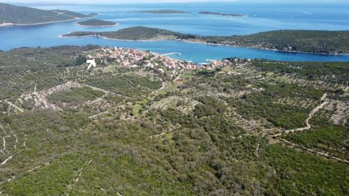 Dilnica