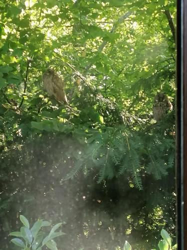 Schwarzwald Appartement Schwarzwald Appartement