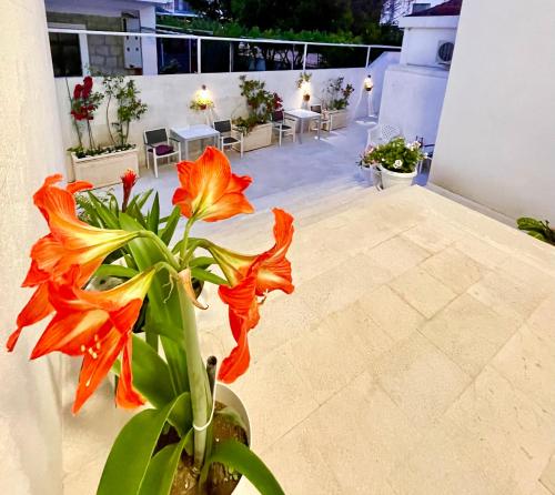 Apartments Marković - main image