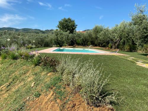 PODERE IL QUADRO - Lamporecchio