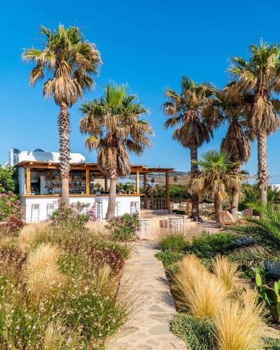 Sunset Studios & Rooms in Antiparosa