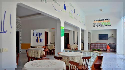 Che Lagarto Hostel Porto de Galinhas - image 4