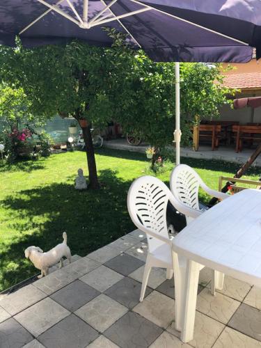 CASA BARZA