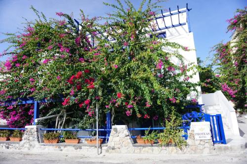 Proteas Hotel - image 3