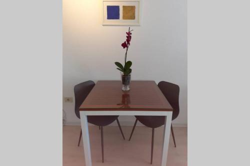 Comfortable studio in old town, Labin (foto 2)