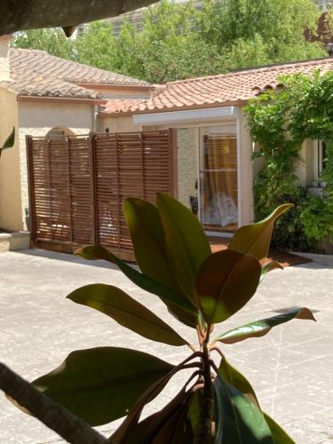 le Garden Cocoon - Location saisonnière - Istres