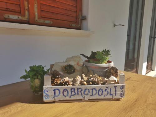 Apartman Lenka 2