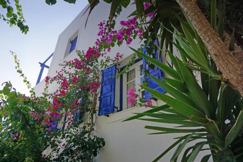 Proteas Hotel - image 7