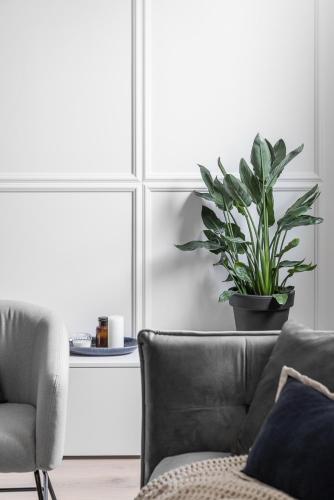 One-Bedroom Apartment image 8