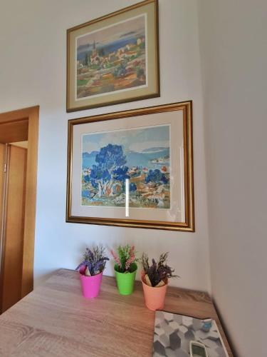 Apartmani Latin Jezera