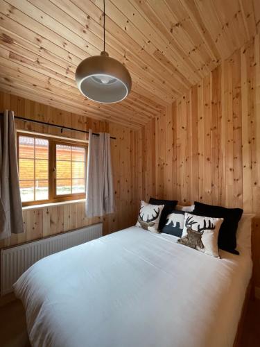 Southern County Resort in 基爾肯尼