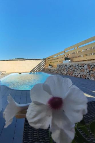 Sa Granja gîte à louer Cala Ratjada