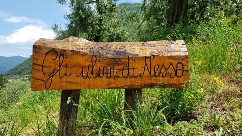  Gli Ulivi di Nesso in Nesso