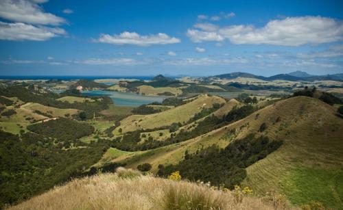 Tara at Tahi - cosy cottage surrounded by nature, Whangarei (fotografie 10)