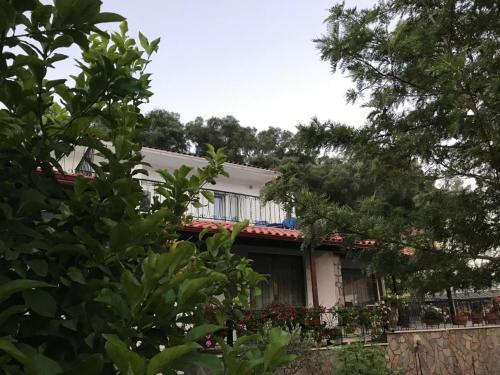 Studio Lithos 2, Parga (Foto 8)