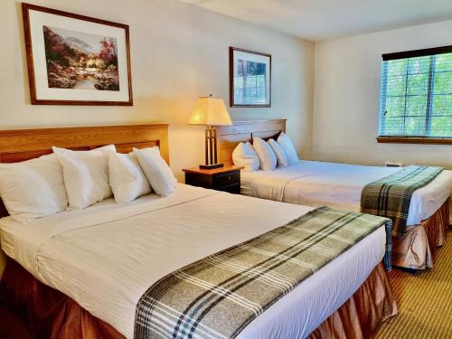 2 queen beds