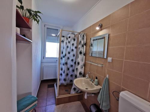 Acceptus Domus - main image