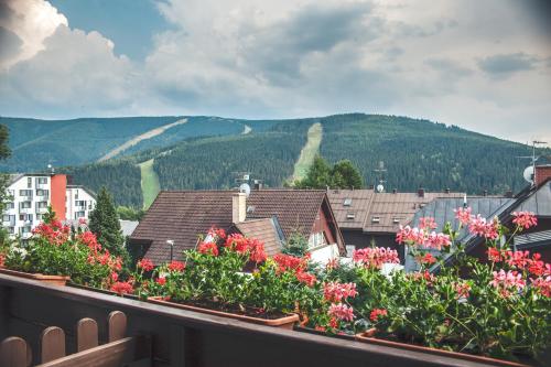 Pension Luky - image 4