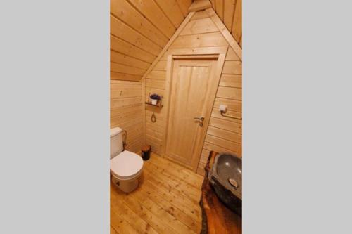Bathroom, Vakantiehuis de 'Finse Kota' in Rijssen