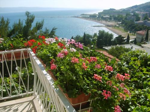 Apartment Borak (161-1) - image 5