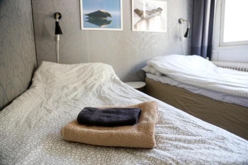 2 twin beds, 1 sofa bed