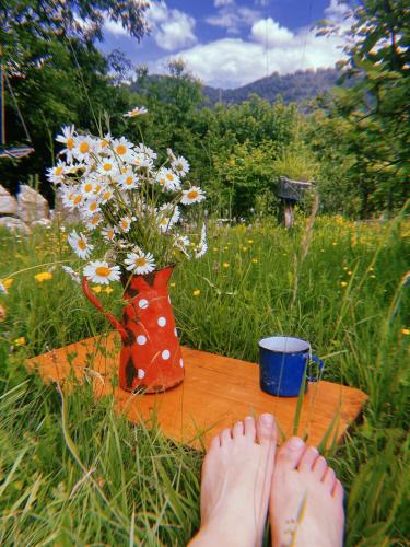 حديقة, Kokin Brod Apartments in زلاتيبور