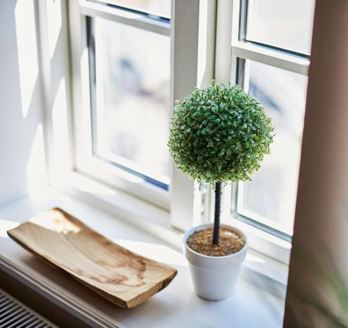 fewo1846 - Hafen-Butze - main image