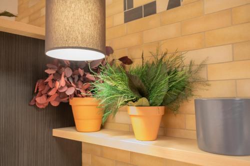 Calm Apparthotel - image 9