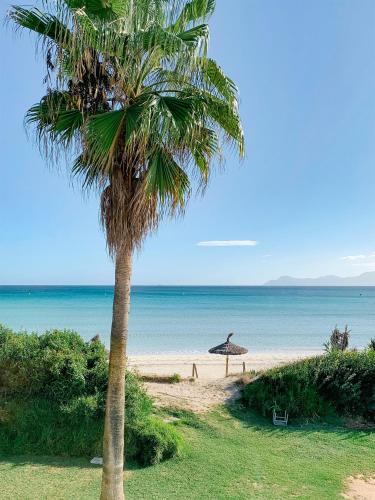 Hotel Playa Esperanza Resort - Affiliated by Melia - image 4