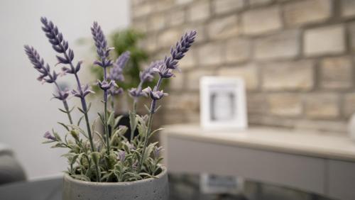  Apartment STELA - Private terrace & Parking, Unterkunft in Zadar