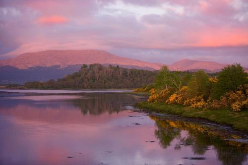 Isle of Eriska Hotel Spa & Golf - image 7