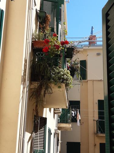 Albergo Massena - image 12