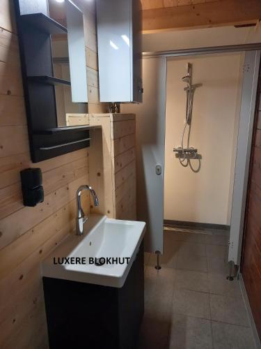 Bathroom, thoefijzer in Zwiggelte