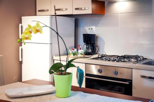 Apartment Pino - image 13