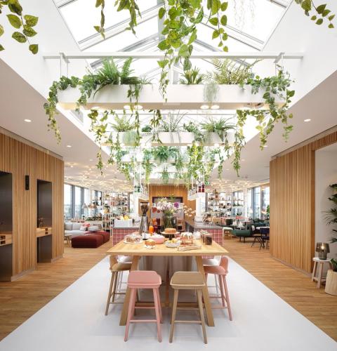 Zoku Vienna - 2