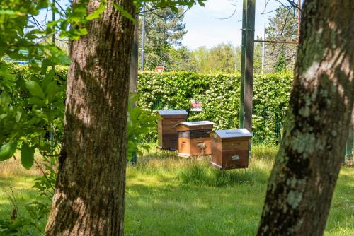 Demeures de Campagne Chemins de Sologne à Orléans