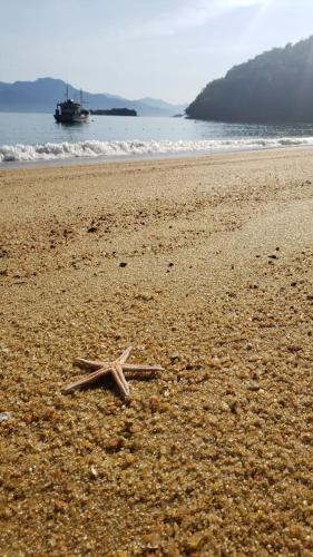 O Sitio - Ilha Grande